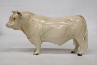 A BESWICK MODEL OF A CHAROLAIS BULL