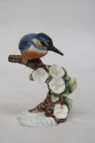 A BESWICK MODEL OF A KINGFISHER ON A BRANCH IN A GLOSS FINISH