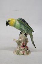 A BESWICK MODEL OF A PARAKEET WITH A GLOSS FINISH