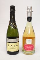 A BOTTLE OF SAN LEO NERELLO MASCALESE GARGANEGA VINO SPUMANTE TOGETHER WITH A BOTTLE OF CAVA