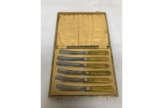 A SET OF SIX AMBER HANDLED KNIVES IN A PRESENTATION BOX - Image 1 of 4