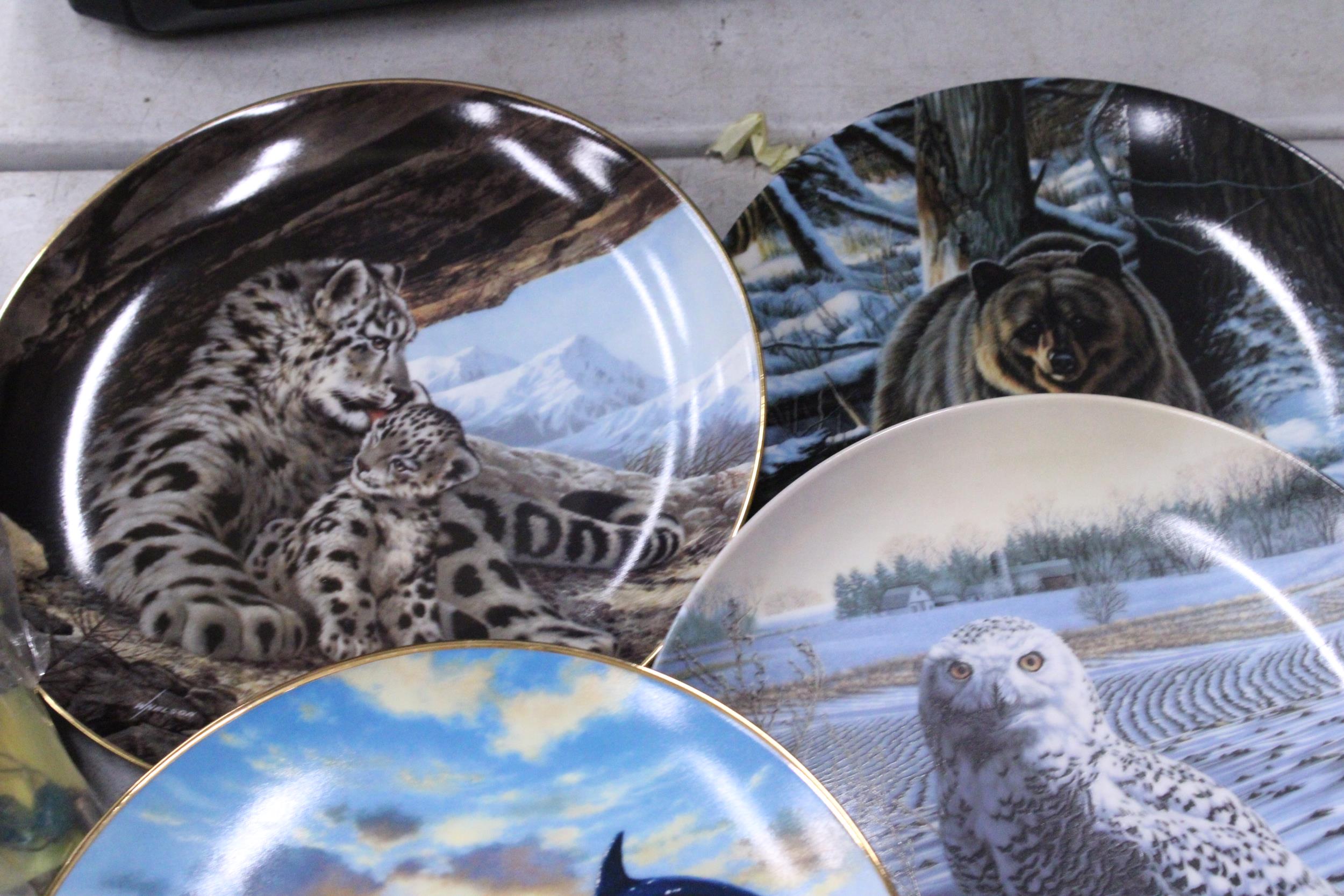 TEN CABINET PLATES TO INCLUDE SEVEN, BRADEX, 'LAST OF THEIR KIND: THE ENDANGERED SPECIES 1989' - Image 5 of 5