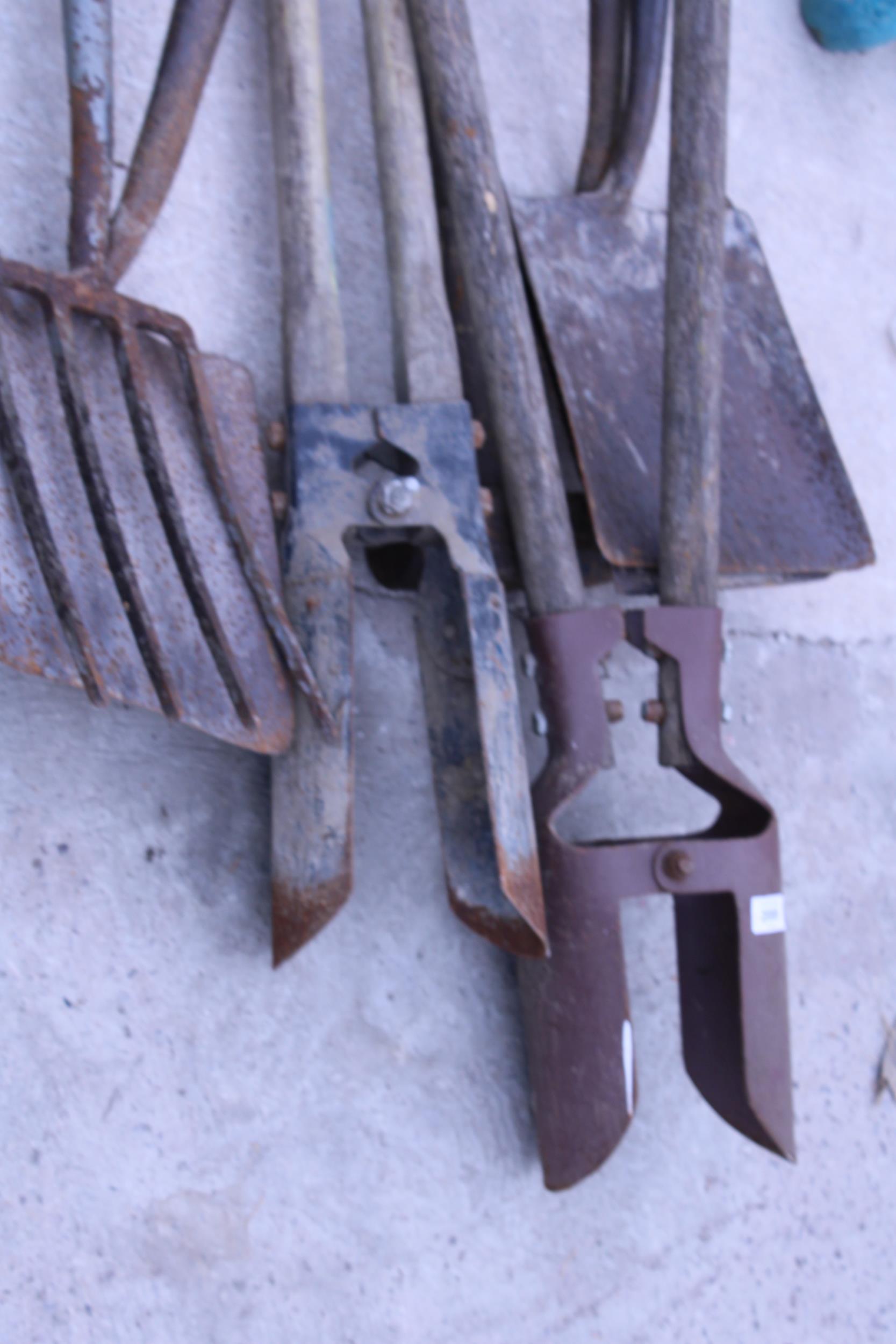 AN ASSORTMENT OF GARDEN TOOLS TO INCLUDE POST HOLE DIGGERS, SHOVELS AND FORKS ETC - Image 3 of 4