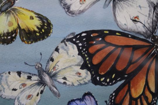 A FRAMED SIGNED WATERCOLOUR OF BUTTERFLIES - Image 3 of 4