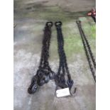 (2) 5', (1) 3 Hook, (1) 4 Hook Lifting Chains