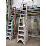 (3) Assorted Fiberglass Ladders