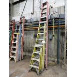 (3) Assorted Fiberglass Ladders