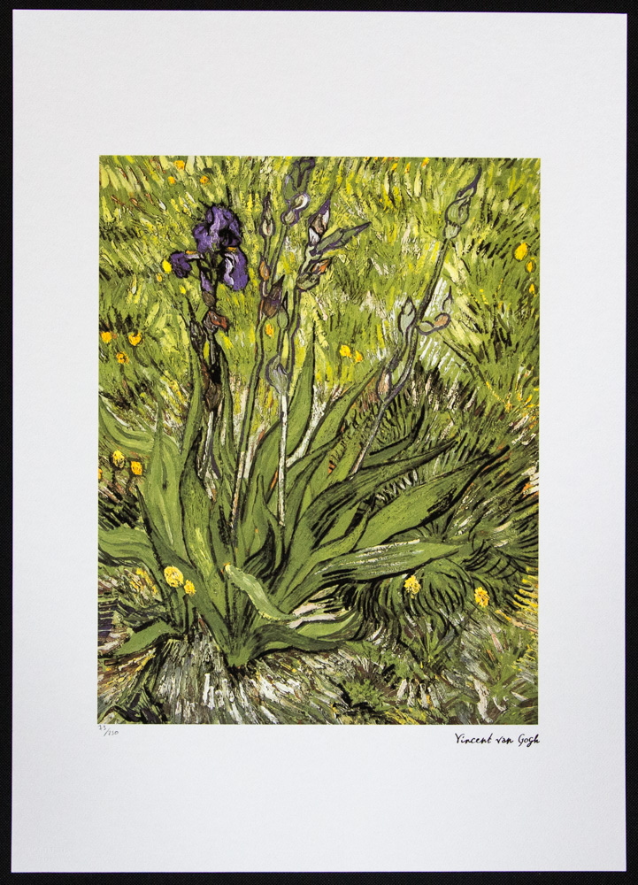 Vincent van Gogh 'Iris' - Image 2 of 5