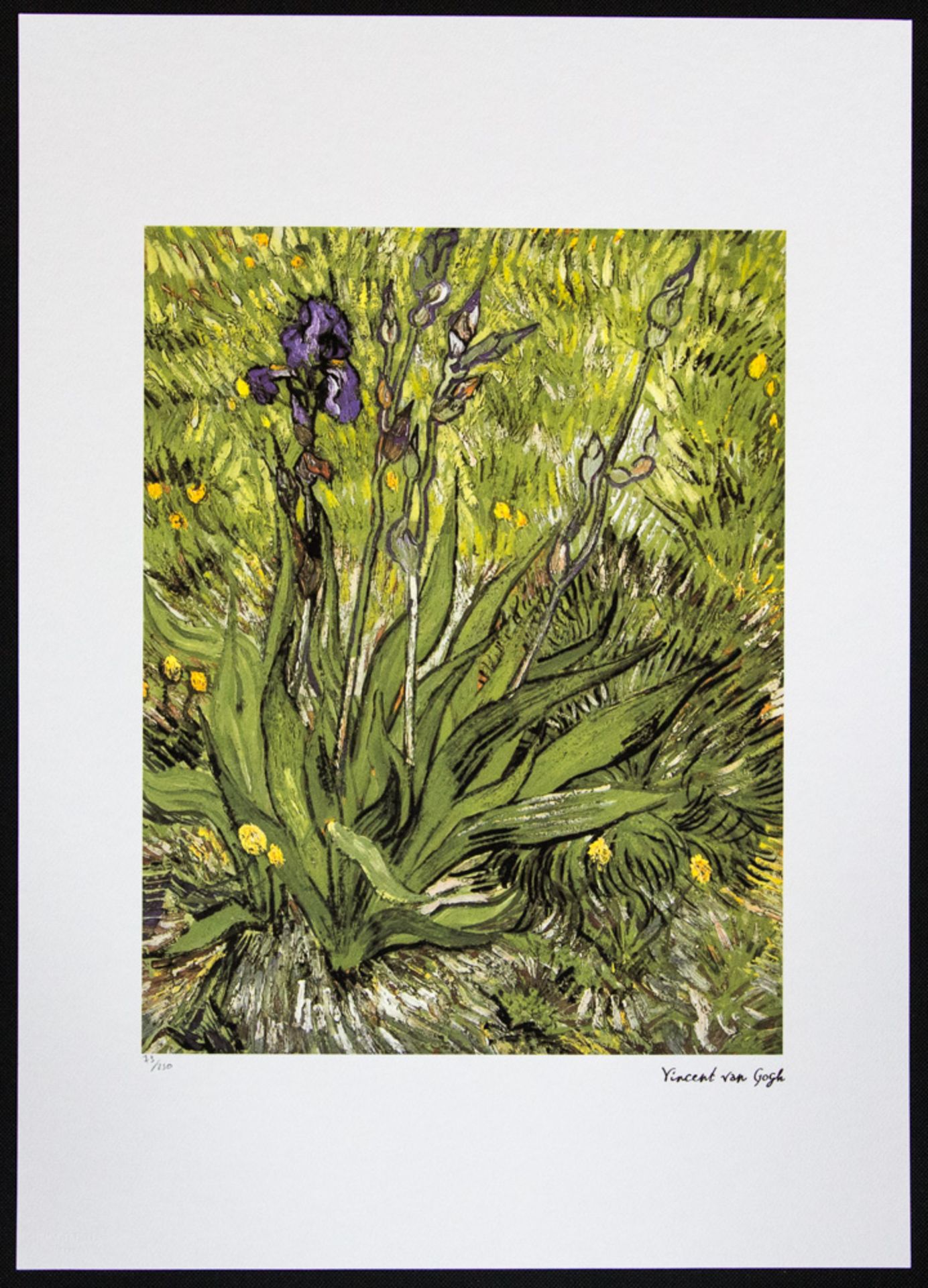 Vincent van Gogh 'Iris' - Bild 2 aus 5