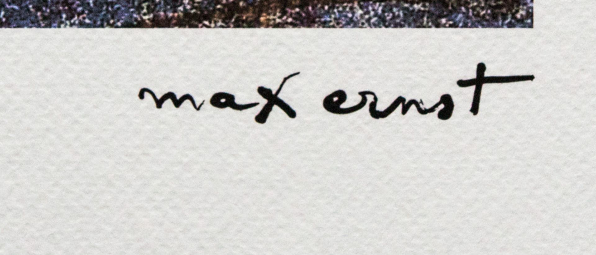 Max Ernst, from 'Little Lambs'  - Bild 3 aus 5