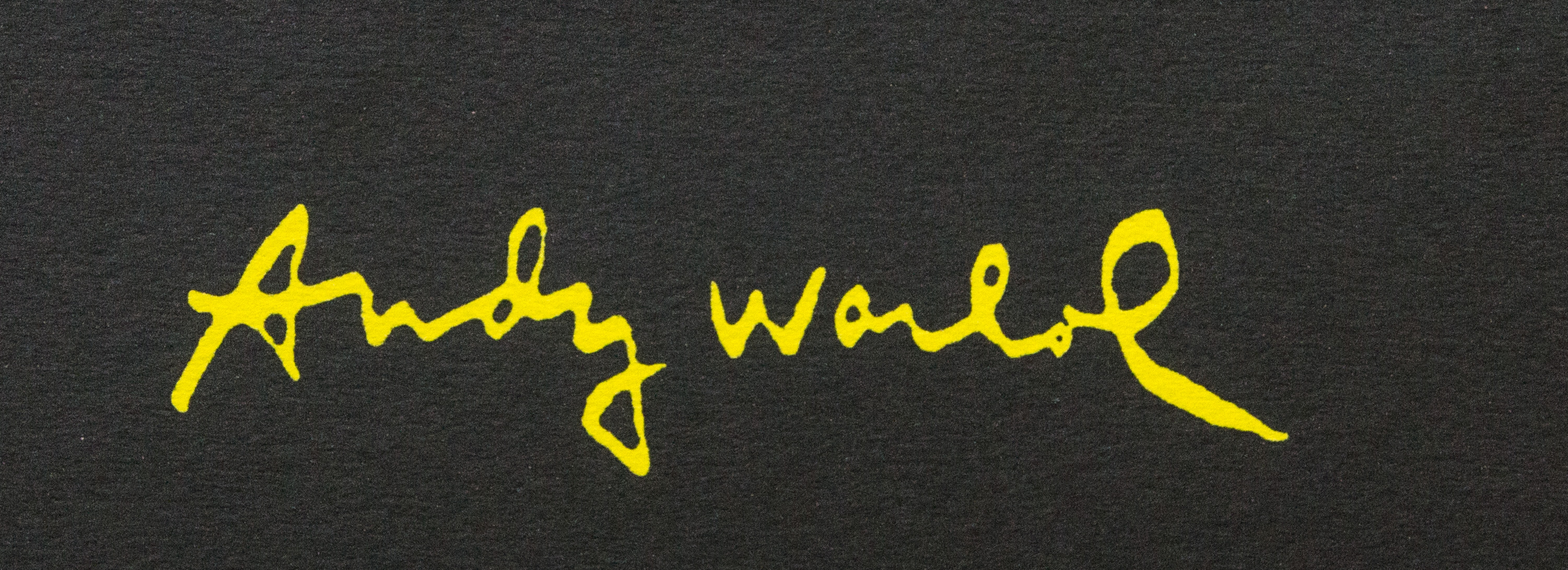 Andy Warhol 'Volkswagen Lemon' - Image 2 of 4