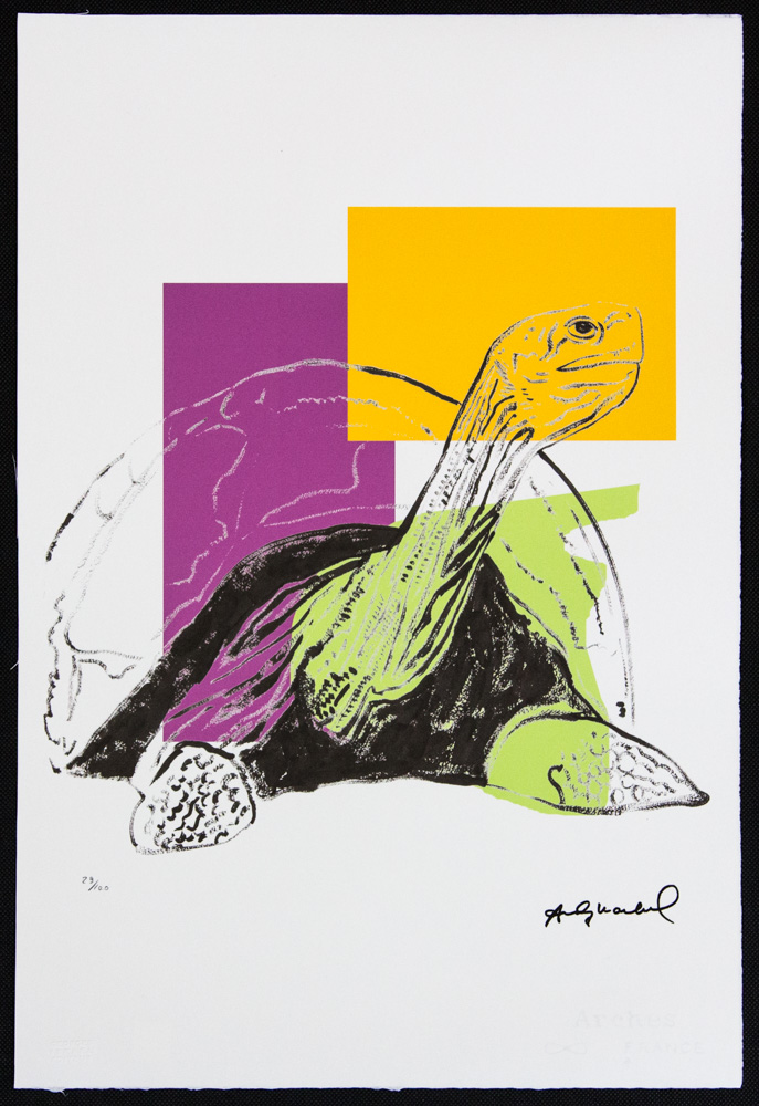 Andy Warhol 'Turtle' - Image 2 of 6