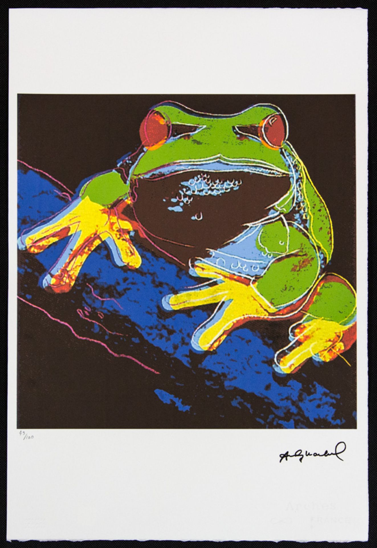 Andy Warhol 'Pine Barrens Tree Frog' - Bild 2 aus 6