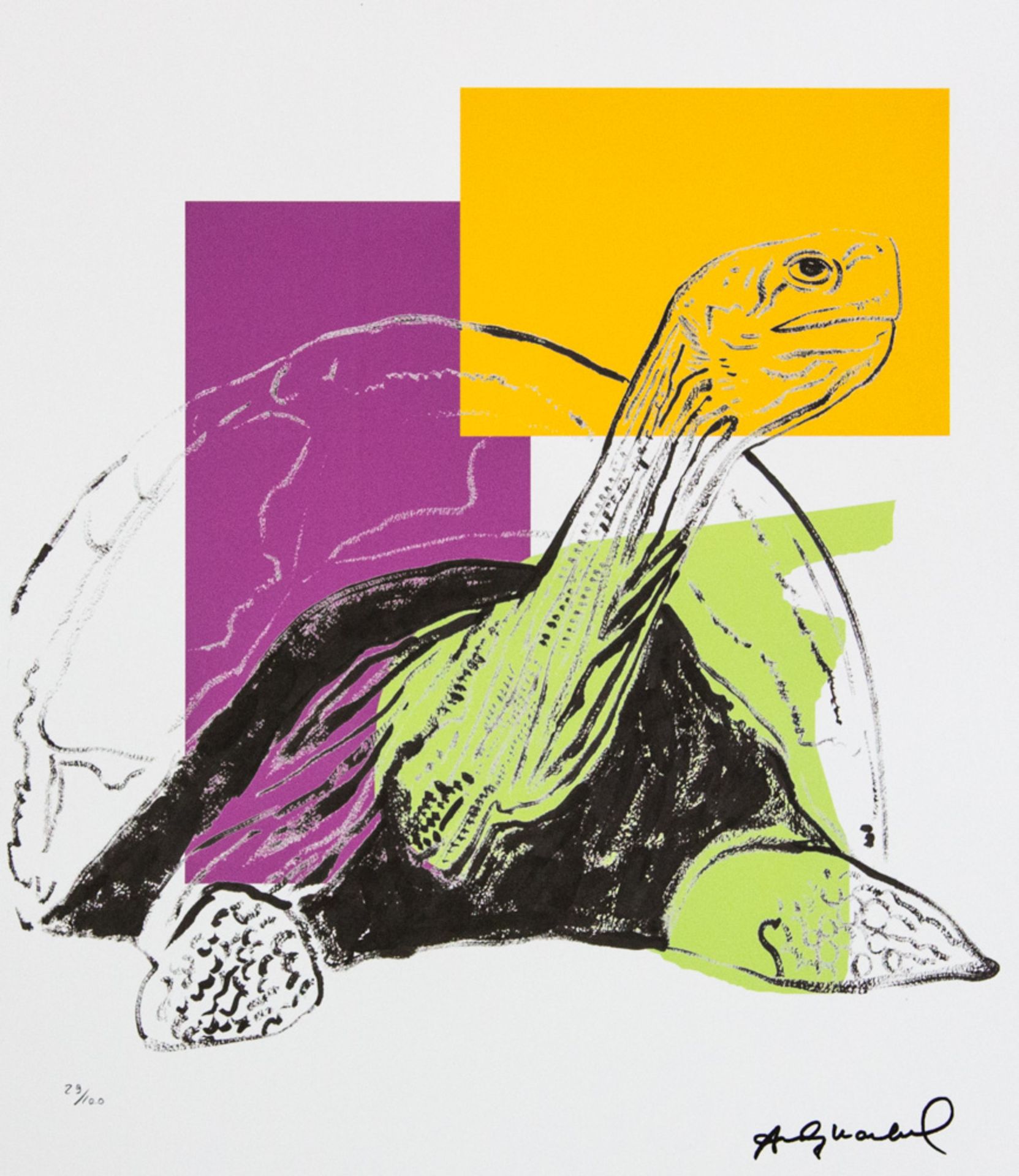 Andy Warhol 'Turtle'