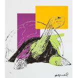 Andy Warhol 'Turtle'