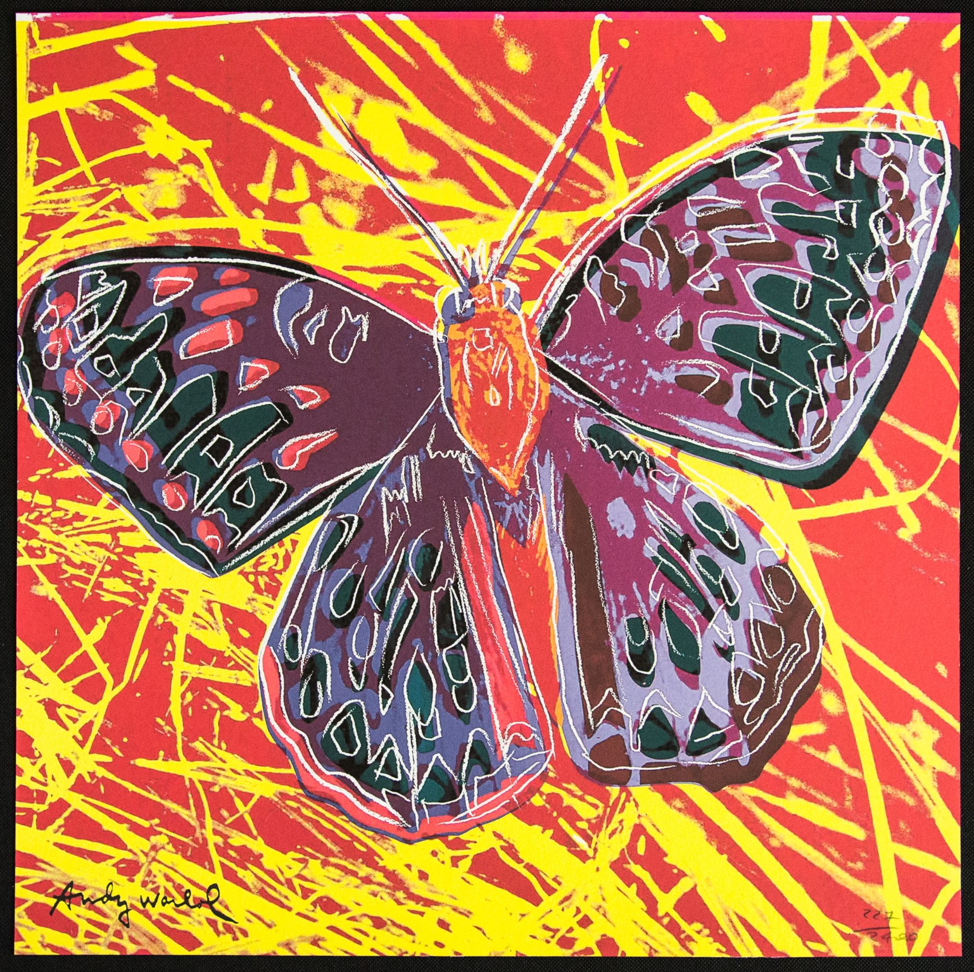 Andy Warhol 'Butterfly'