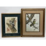 Two watercolours of woodpeckers signed M. Powell and Gena Pont