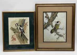 Two watercolours of woodpeckers signed M. Powell and Gena Pont