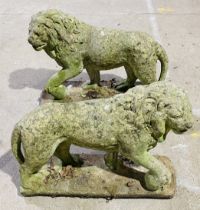 A pair of Medici stone lions, length 74cm