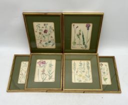 A set of seven gilt framed hand painted botanical water colours. Overall size 20cm x 25cm