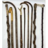 A collection of various walking sticks including silver collared example, snake design etc.