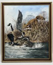 Royce Harmer (British 20th century) oil on canvas of a fox hunting geese - 68cm x 57cm