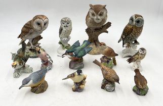 A collection of ceramic birds including Karl Ens owl, Royal Worcester kingfisher (A/F), waxwing,