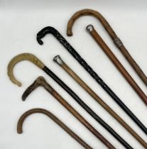 A collection of walking sticks including an ebony example in the form of an elephant (A/F), two