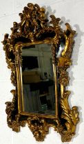 An ornate gilt framed mirror, height 80cm.