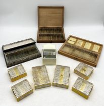 A collection of late Victorian and assorted 20th century microscope slides of flora, fauna,