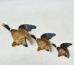 A set of three Sylvac graduated flying ducks (smallest duck has had repair to wing)