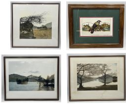 A collection of limited edition prints and lithographs by artists including Philip Greenwood, Mary E