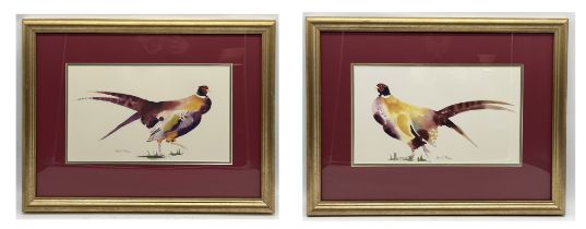 A gilt framed pair of Annabel Fairfax pheasant prints - overall size 51cm x 66cm