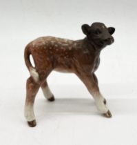A Beswick Dairy Shorthorn calf model number 1406C.