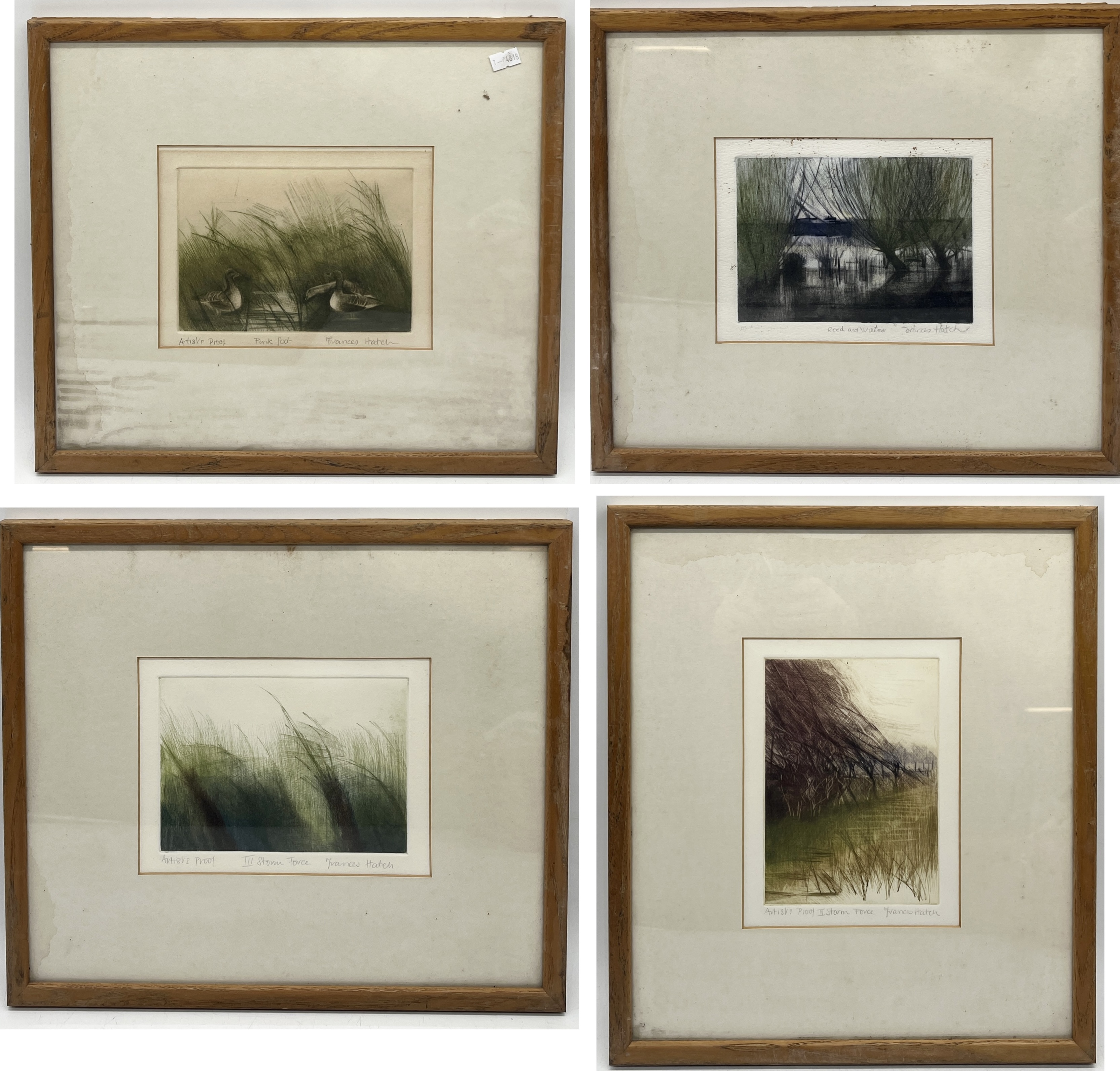 Four Frances Hatch artist proof coloured etchings all signed and titled. Includes "Pink Foot", "