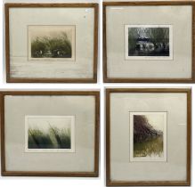 Four Frances Hatch artist proof coloured etchings all signed and titled. Includes "Pink Foot", "