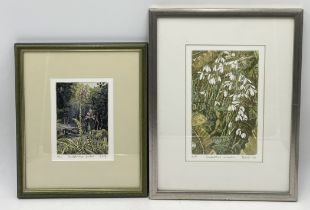 Two limited edition prints by Roger St Barbe, "Dactylorhiza Fuchsia" etched aquatint signed and