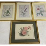A collection of Botanical related pictures to include prints by Louis Wilson, watercolour and a