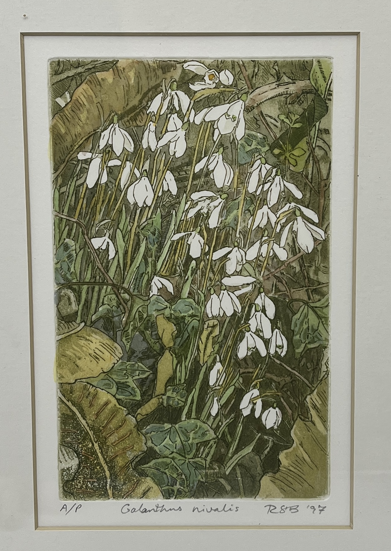 Two limited edition prints by Roger St Barbe, "Dactylorhiza Fuchsia" etched aquatint signed and - Image 2 of 3