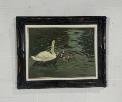 A framed oil on canvas painting of a Swan with cygnets in ornate black frame, signed Bernard P