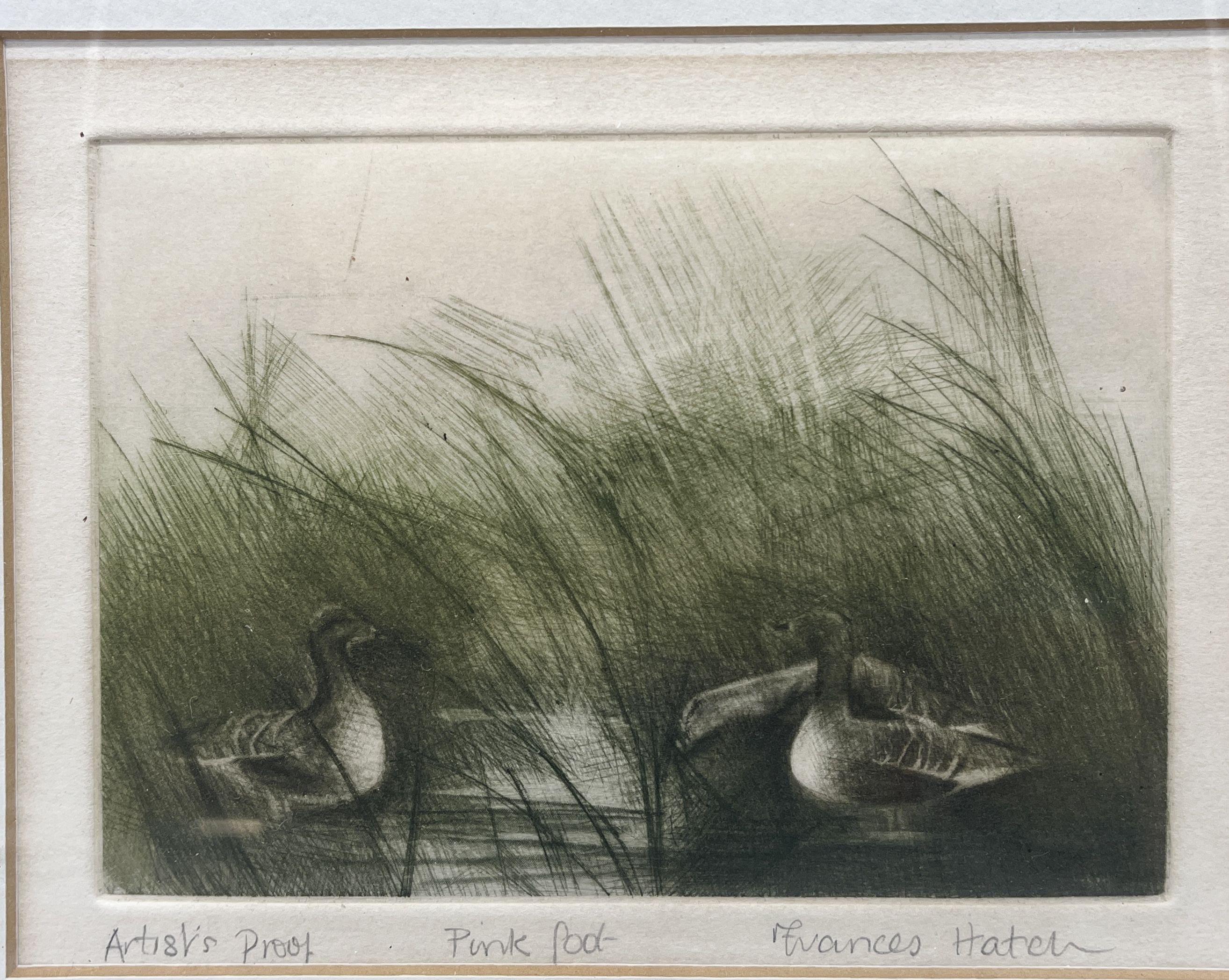 Four Frances Hatch artist proof coloured etchings all signed and titled. Includes "Pink Foot", " - Image 3 of 9