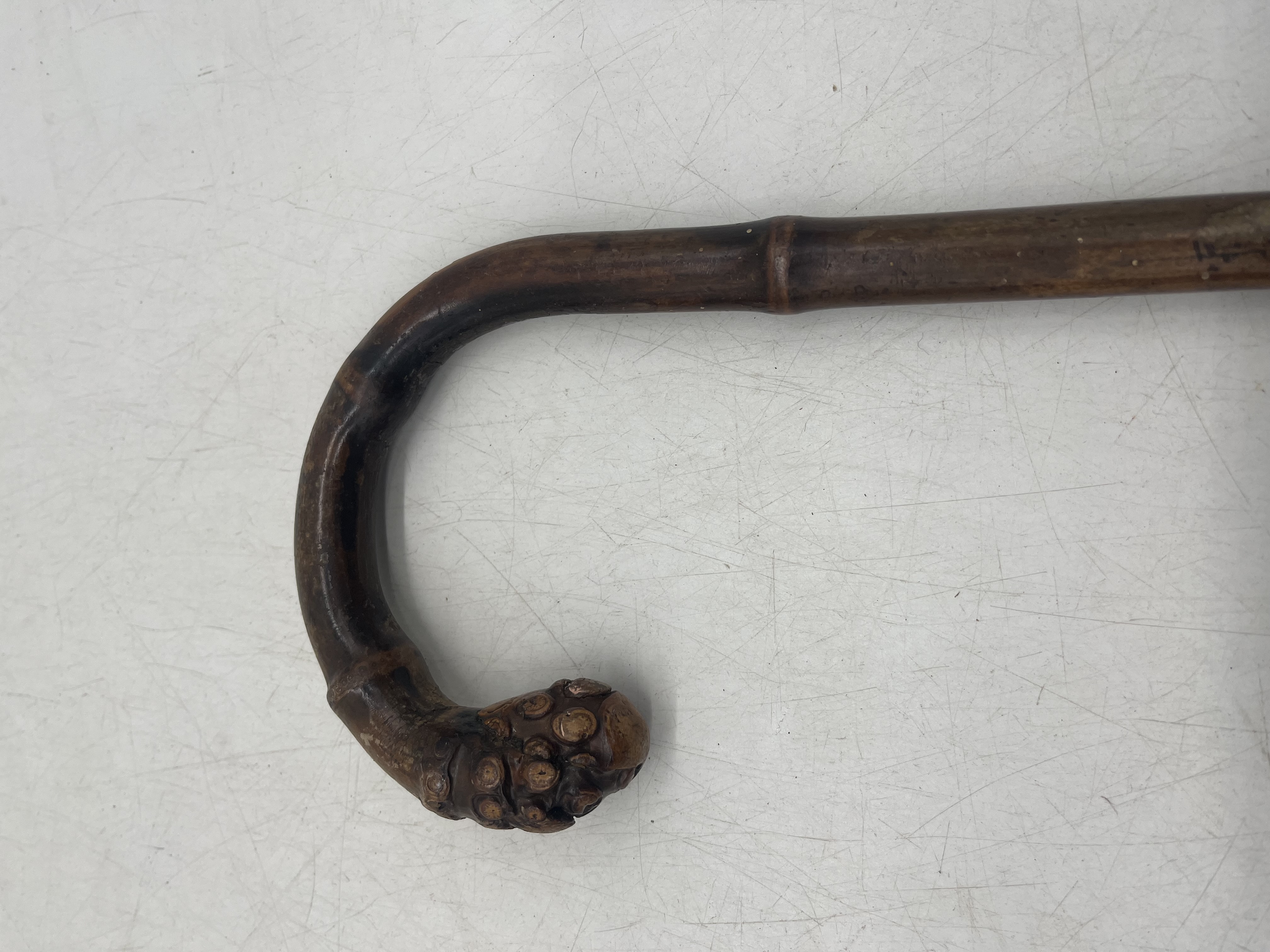 A walking stick with a silver plated handle in the form of a horses leg plus one other. - Bild 5 aus 5