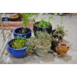 A quantity of various garden pots, including a pair of blue glazed pots, large glazed urn,