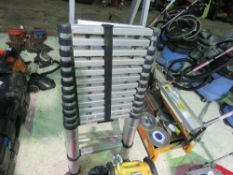 STEP LADDER AND TELESCOPIC LADDER. THIS LOT IS SOLD UNDER THE AUCTIONEERS MARGIN SCHEME, THEREFOR