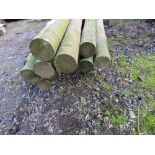 FENCE POLES 11FT LENGTH APPROX, 10NO APPROX IN TOTAL.