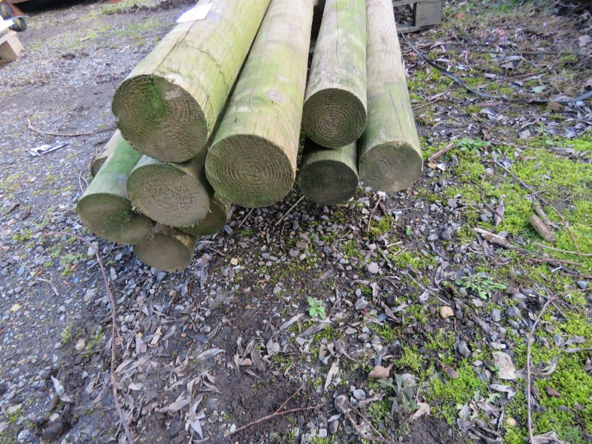 FENCE POLES 11FT LENGTH APPROX, 10NO APPROX IN TOTAL.