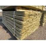 LARGE PACK OF TREATED SHIPLAP TIMBER CLADDING BOARDS 1.73M LENGTH X 100MM WIDTH APPROX.