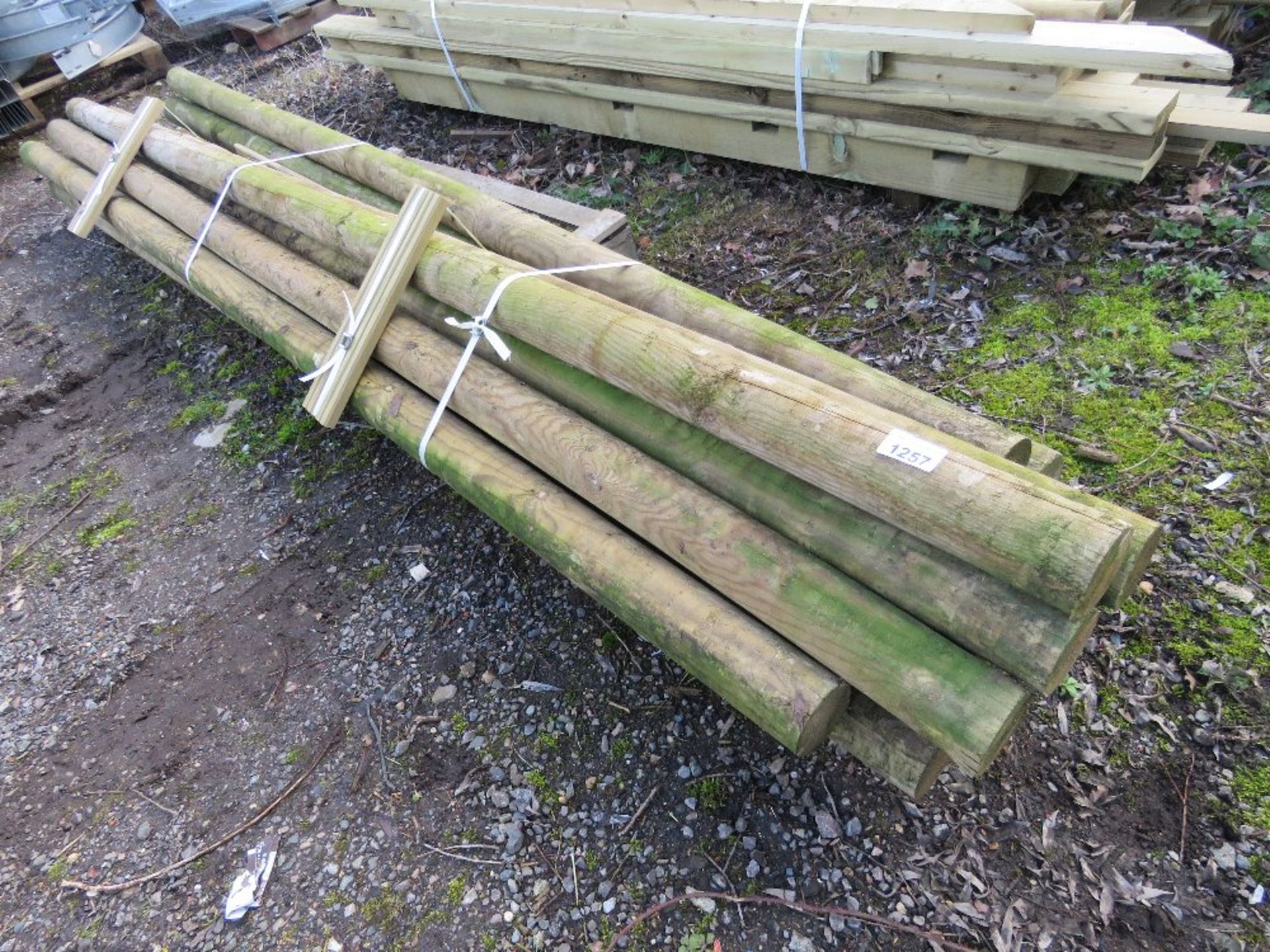 FENCE POLES 11FT LENGTH APPROX, 10NO APPROX IN TOTAL. - Image 2 of 2