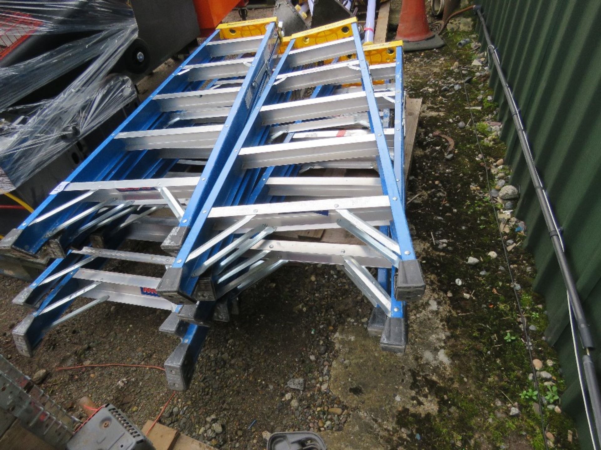 6NO GRP STEP LADDERS. - Image 4 of 4