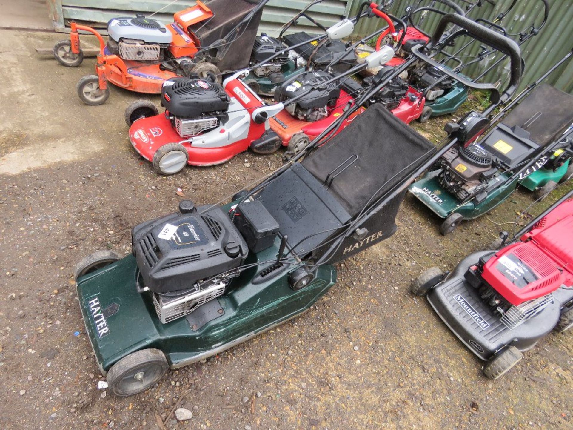 HAYTER HARRIER 48 ROLLER MOWER WITH A COLLECTOR.....THIS LOT IS SOLD UNDER THE AUCTIONEERS MARGIN SC - Image 2 of 3